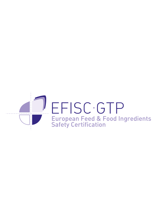EFISC-GTP